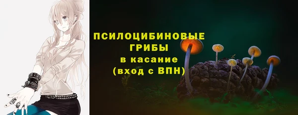 mix Вяземский